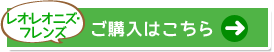 IEIjEtY@w͂