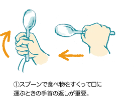 （1）スプーンで食べ物をすくって口に運ぶときの手首の返しが重要。